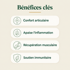 Bénéfices clés — confort articulaire, inflammation, récupération musculaire, soutien immunitaire