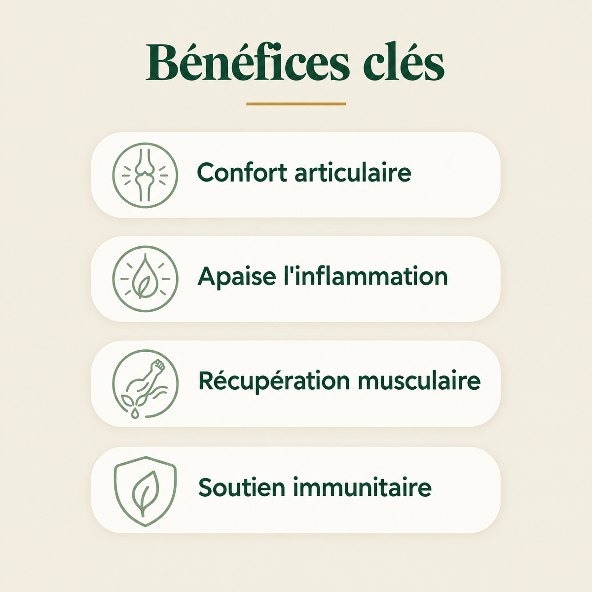 Bénéfices clés — confort articulaire, inflammation, récupération musculaire, soutien immunitaire